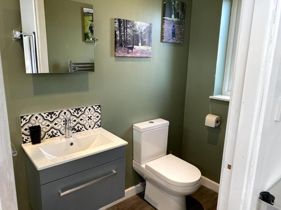 Cosy And Modern 1 Bedroom Garden House - Very Dog Friendly! Tarves Zewnętrze zdjęcie